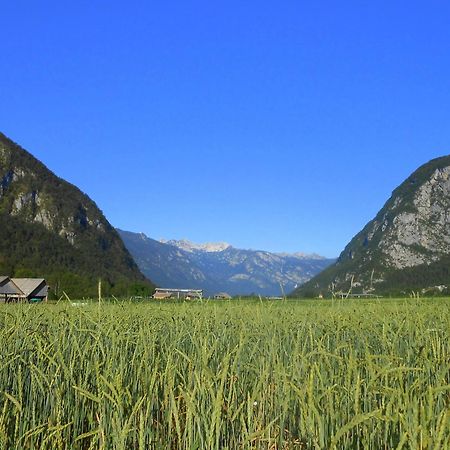 V Objemu Gora Apartment Bohinj Luaran gambar