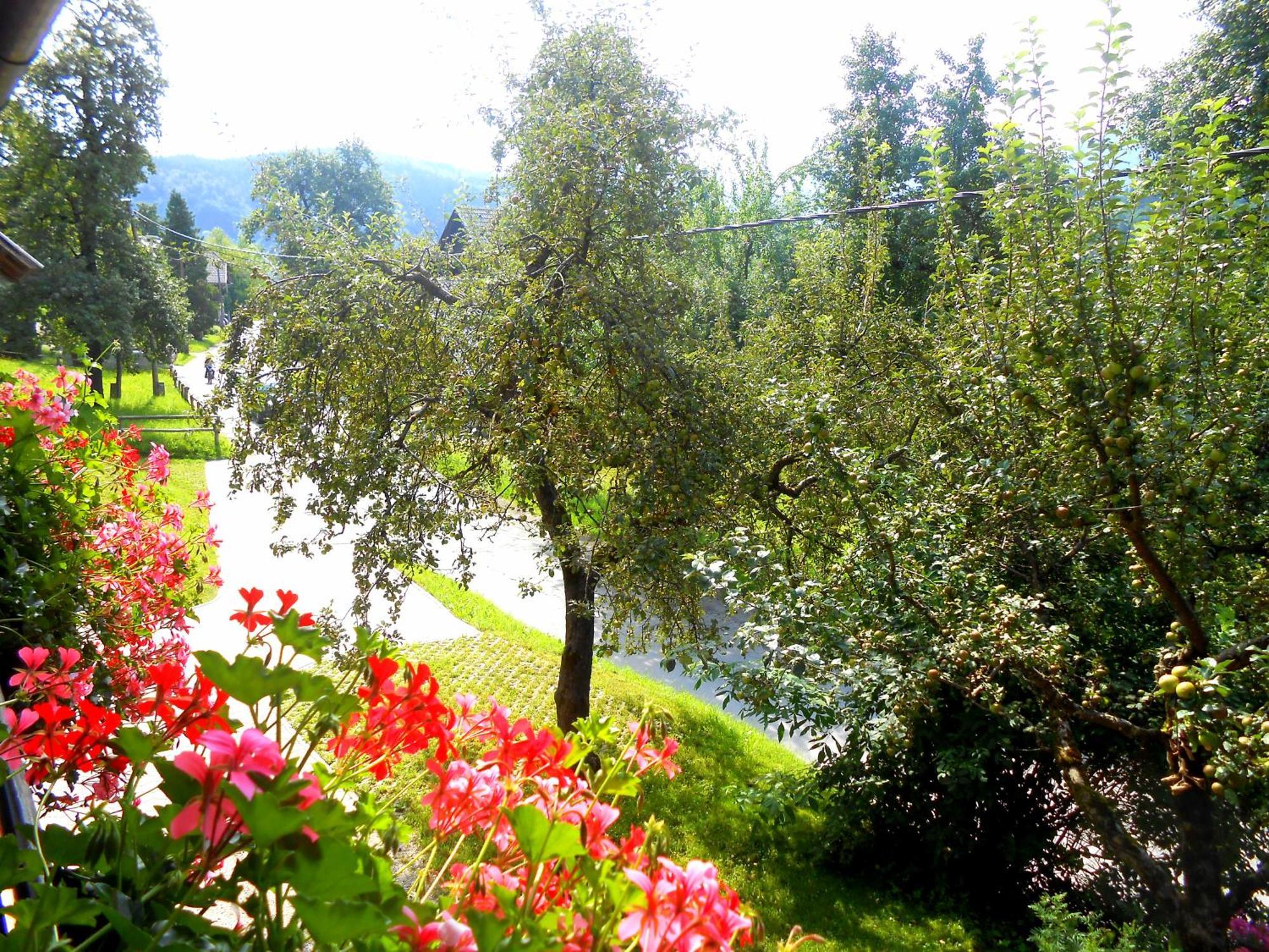V Objemu Gora Apartment Bohinj Luaran gambar